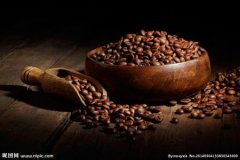 巴西精品咖啡莊園皇后莊園黃波旁咖啡研磨度烘焙度處理法簡介