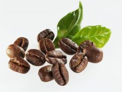 非洲咖啡產國盧旺達咖啡奇邁爾莊園咖啡種植情況氣候海拔簡介
