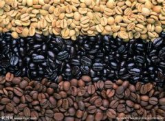 柔滑細緻的尼加拉瓜咖啡研磨度處理法烘焙程度簡介