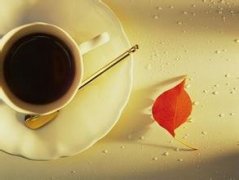 波多黎各莊園產區拉雷斯堯科咖啡風味口感香氣特徵描述簡介
