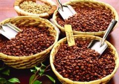 酸中帶甜的加拉帕戈斯精品咖啡豆研磨度烘焙程度處理方法簡介