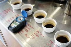 咖啡初嘗者的進階：3個步驟教你如何品鑑一款單品咖啡？