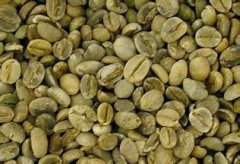 甘苦味的巴西喜拉多精品咖啡豆品起源發展歷史文化簡介