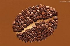 美好花香的聖芭拉拉莊園精品咖啡豆種植情況地理位置氣候海拔簡介