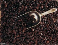 清香味道的喜悅莊園精品咖啡豆風味口感香氣特徵描述簡介