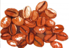 今年二月楠榜羅布斯達咖啡豆 出口量14321噸總值2880萬美元