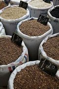 光澤鮮亮的肯尼亞精品咖啡豆起源發展歷史文化簡介