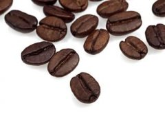 充實飽滿的雲南精品咖啡豆品種種植市場價格簡介