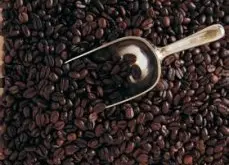 醇厚度豐富的夏奇索產區精品咖啡豆風味口感香氣特徵描述簡介
