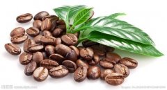 LONGBERRY精品級的印度尼西亞愛嫚妮莊園精品咖啡豆種植情況地理