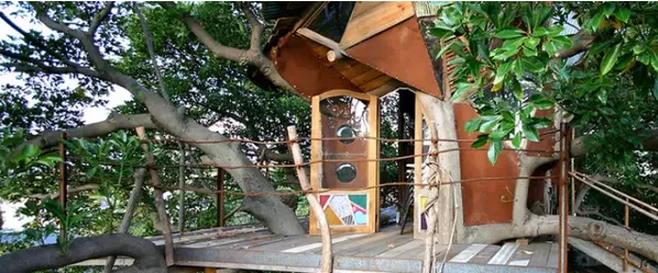 被森林和咖啡香氣包圍，日本七座最治癒的樹屋咖啡