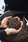 幾乎買不到的安哥拉精品咖啡豆起源發展歷史文化簡介