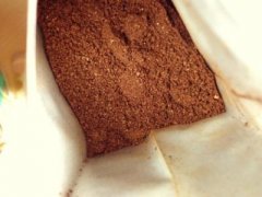 口感順滑的凱撤路易斯莊園精品咖啡豆品種種植市場價格簡介