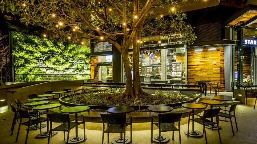 星巴克的另一面：它如何打造全球最環保咖啡館？