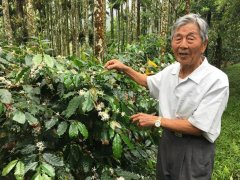 89歲老農劉佳館 自栽自烘成咖啡達人