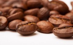 咖啡豆的營養與成份