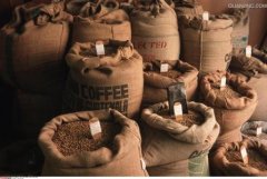 雲南咖啡產量佔全國99% 缺乏加工標準