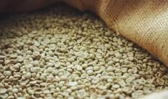 悠長餘韻的梅賽德斯莊園精品咖啡豆種植情況地理位置氣候海拔簡介