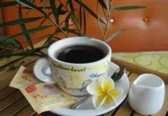 埃塞俄比亞西達摩日曬花魁古吉精品咖啡豆起源介紹