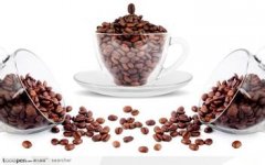 90+燭芒咖啡豆西達摩日曬精品咖啡豆研磨度烘焙程度處理方法簡介
