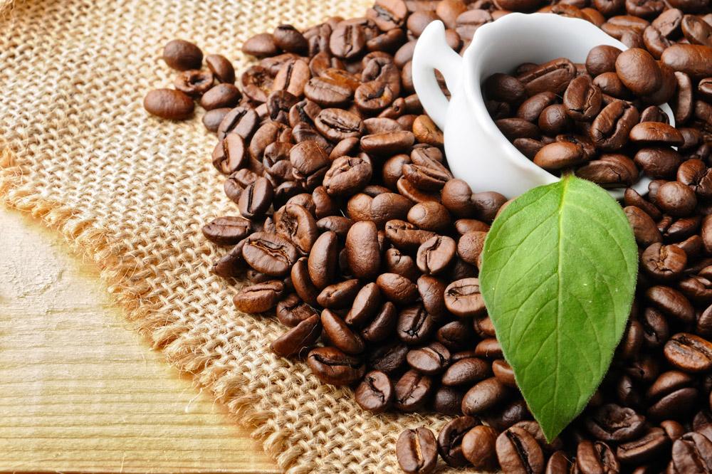 肯尼亞咖啡出口收入持續增加