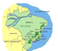巴西米納斯州HIU微批次春天莊園水洗黃卡杜艾風味口感香氣特徵描