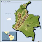 哥倫比亞Colombia考卡省卓越杯水洗特選批次精品咖啡豆新鮮烘焙