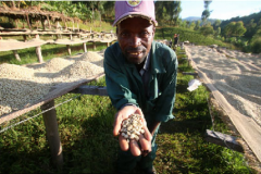 布隆迪Burundi卡揚札省日曬波旁種精品咖啡豆起源發展歷史文化簡