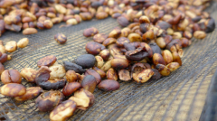 印尼西爪哇蜜處理愛嫚妮莊園精品咖啡豆起源發展歷史文化簡介
