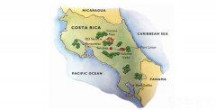 全國包郵哥斯達黎加黃蜜處理葉爾莎羅處理廠卡杜拉精品咖啡單品