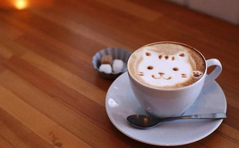 不找麝香貓幫忙的精品咖啡，人工發酵方式更健康