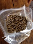 布隆迪Burundi卡揚札省日曬波旁種精品咖啡豆的故事典故