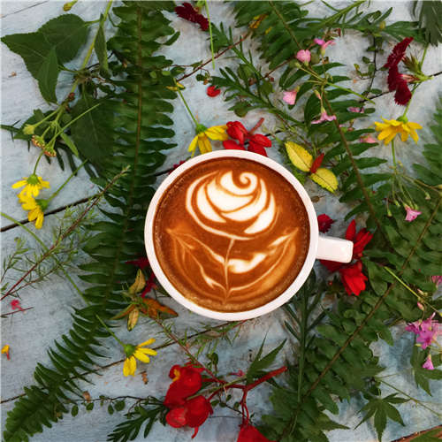 什麼是花式咖啡？