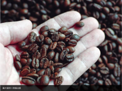 從自制磨豆機維持咖啡風味 看見日本咖啡之神的職人精神