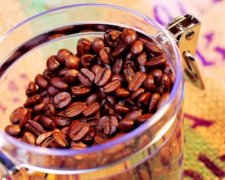 肯尼亞本季咖啡收入增加31%