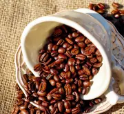 埃塞西達摩日曬花魁Sidamo古吉精品咖啡豆分級、價格、生豆及烘焙