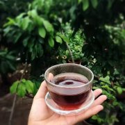 危地馬拉茵赫特手衝數據 危地馬拉茵赫特咖啡怎麼喝