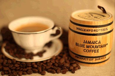 藍山咖啡豆什麼牌子好，藍山咖啡90% 以上都銷往日本
