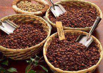坦桑尼亞咖啡豆風味，濃郁爽口