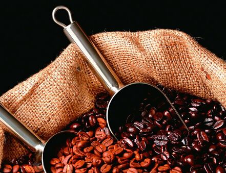 坦桑尼亞查加咖啡豆介紹以及風味