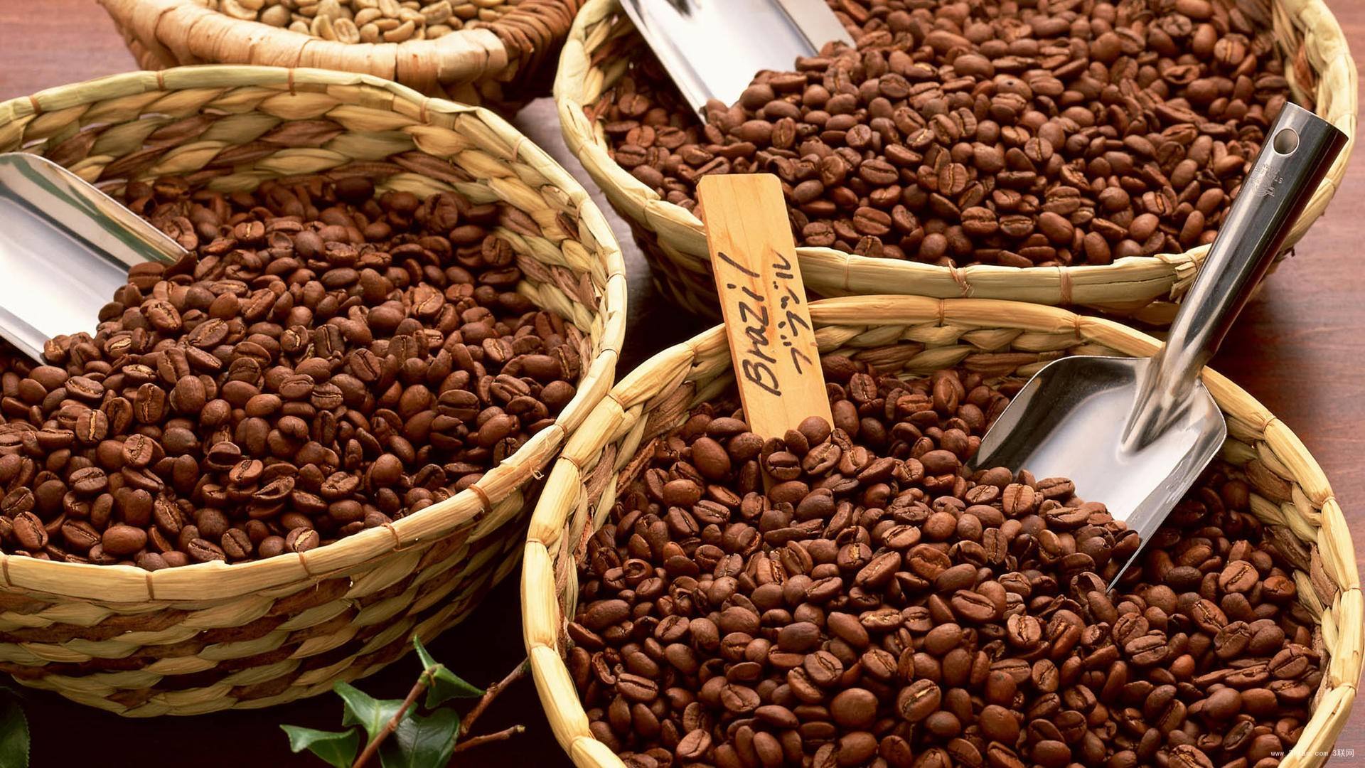 也門的咖啡產地，也門的咖啡的特徵
