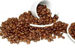 也門摩卡咖啡豆的介紹，也門摩卡咖啡豆的特點