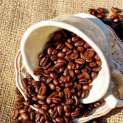 2017年截至3月薩國咖啡出口額計3790萬美元