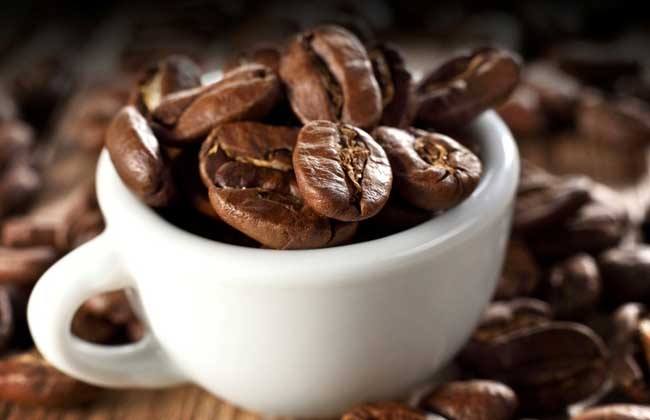 牙買加藍山咖啡豆，牙買加藍山咖啡如何辨真假