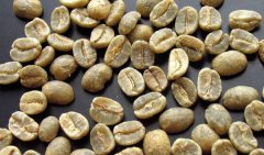 全世界第2大咖啡國 越南今年產量大減