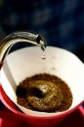 哈特曼紅酒處理法咖啡產區介紹 哈特曼咖啡怎麼沖泡