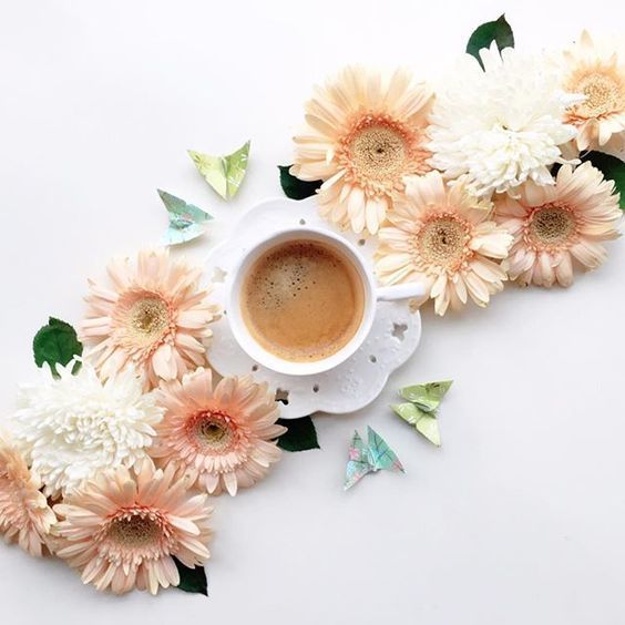 咖啡攝影教程 | 用“花與咖啡”向世界SAY HELLO