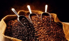 緬甸今年將向中國出口100噸咖啡豆