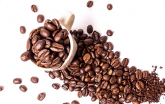 巴拿馬咖啡的精品之路與烘焙方式 產區特色