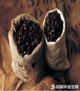 蘇門答臘曼特寧DP是什麼意思 曼特寧咖啡豆口感有什麼特色